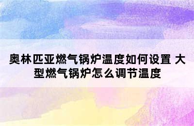 奥林匹亚燃气锅炉温度如何设置 大型燃气锅炉怎么调节温度